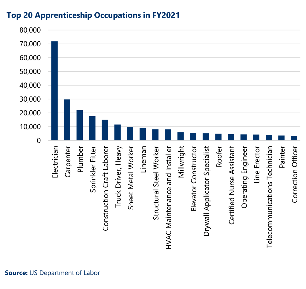Apprenticeships - Top 20 occupations in 2021